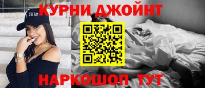 jwh Кингисепп