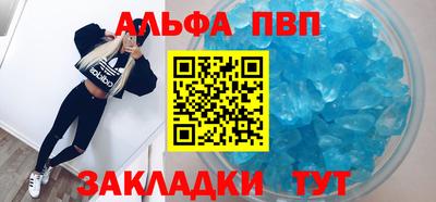 jwh Кингисепп