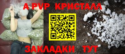 jwh Кингисепп