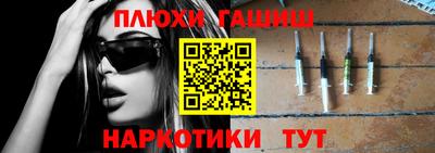jwh Кингисепп